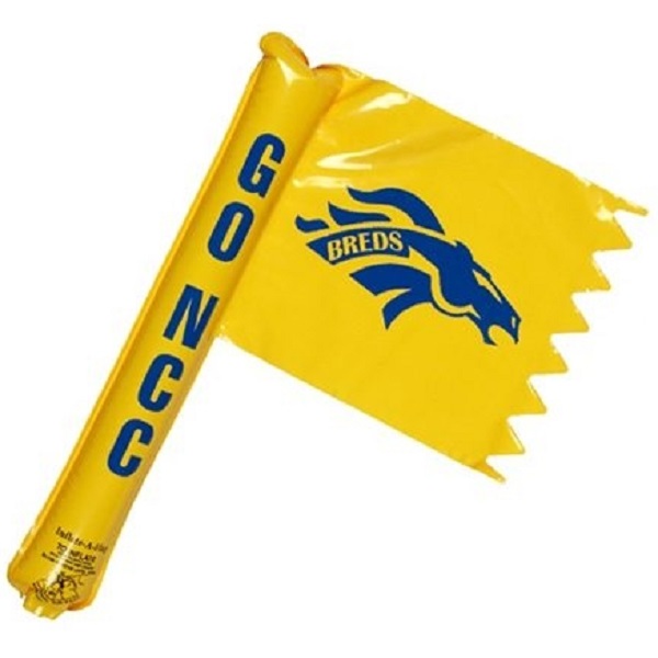 Custom Flag Cheering Stick